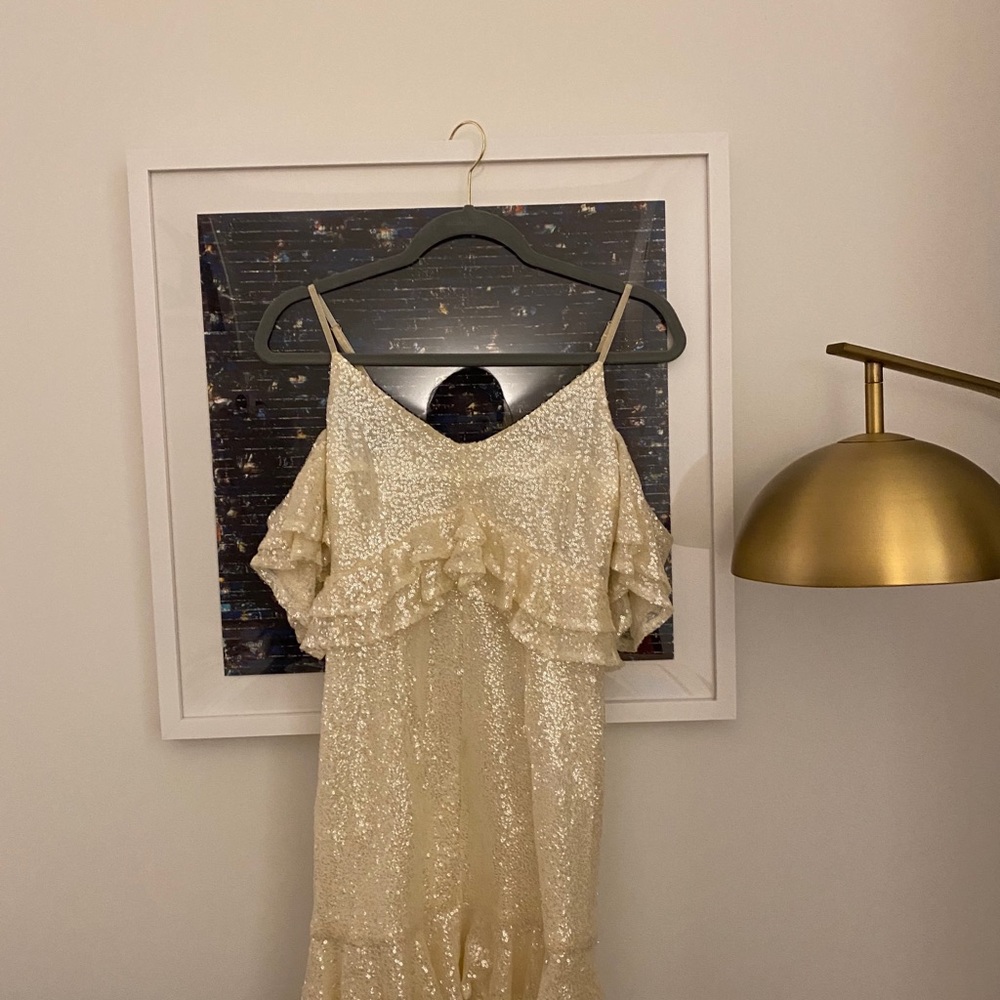 Party shinyyy dress